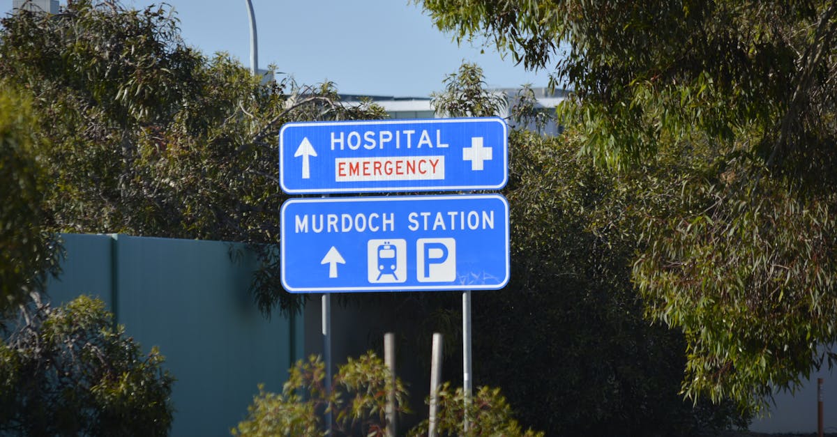 Evaluating User Experience with Wayfinding Signage in Wollongong